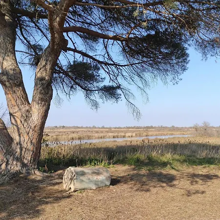 דירה Appart Mer Et Riviere אגדה