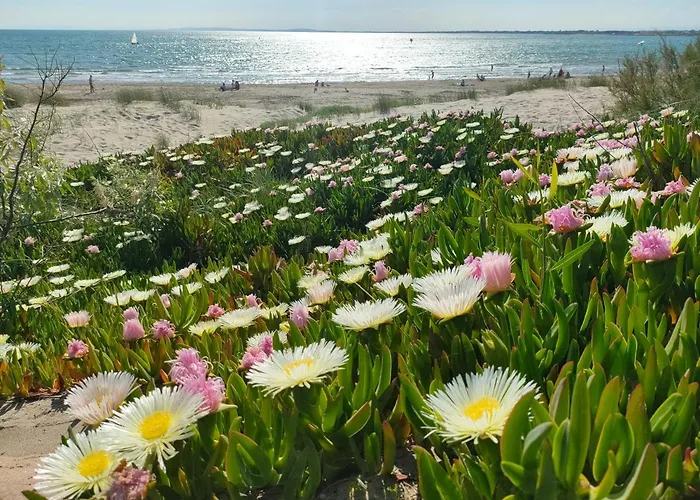 Appart Mer Et Riviere *